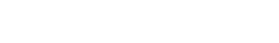 logo light